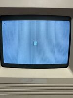 IMG_2460.jpeg