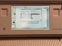 IMG_8247.jpeg