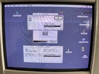 IMG_4369.jpeg