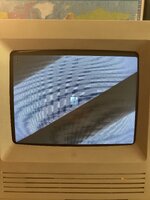 IMG_3139.jpeg