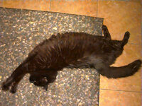 SundayJune152025123713AM.JPG