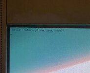 IMG_5524.jpeg