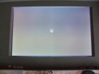 pb100-paard 006a.jpg