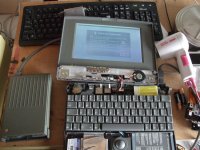 pb100-paard 009a.jpg