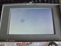 pb100-paard 007a.jpg