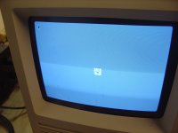 DSC00076.JPG