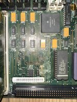 IMG_9438 - dimensioni grandi.jpeg