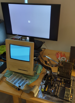 1768440730003.png 1768440730003.png