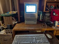 PXL_20260123_005022950.jpg PXL_20260123_005022950.jpg