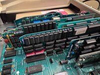 IMG_8220.jpeg IMG_8220.jpeg