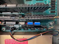 IMG_8219.jpeg IMG_8219.jpeg