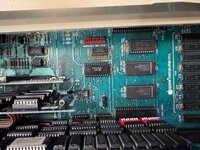 IMG_8218.jpeg IMG_8218.jpeg