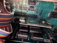 IMG_8217.jpeg IMG_8217.jpeg