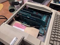 IMG_8215.jpeg IMG_8215.jpeg