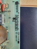 WhatsApp Image 2026-02-10 at 10.54.46 (1).jpeg