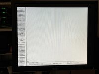 macsbug video glitch on macintosh lc.jpeg