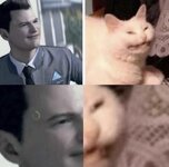 worlds best meme.jpg