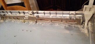 IMG_20260328_181019.jpg IMG_20260328_181019.jpg