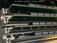 New SIMMs, seated 1.jpeg