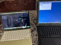 IMG_3781.JPEG