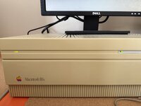 IMG_1462.jpeg