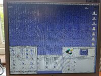 1000035634.jpg