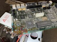 IMG_1320.jpeg