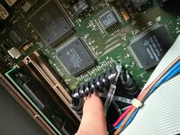 IMG_7708.jpeg
