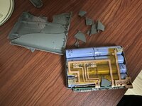IMG_2377.jpeg