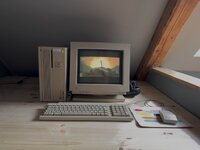 IMG_7766.jpeg