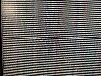 IMG_3662.jpeg