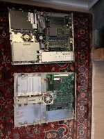 IMG_7925.jpeg