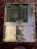 IMG_7926.jpeg