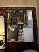 IMG_7927.jpeg