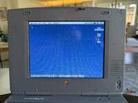 PXL_20260517_165848386.jpg