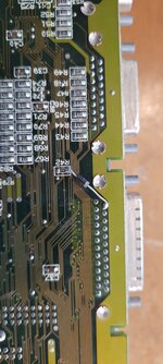 20260515_104718.jpg