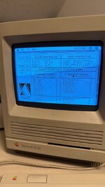 IMG_1420.jpeg