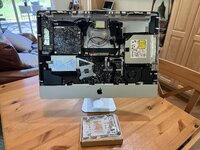 IMG_3110.jpeg