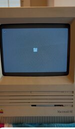 IMG_9619.jpg