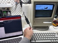 IMG_1205.jpeg