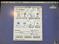 IMG_1956.jpeg