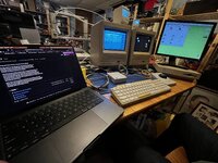 IMG_7958.jpeg