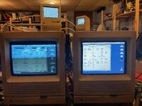 IMG_7966.jpeg