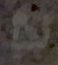 1779638417961.png