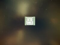 IMG_3187.jpeg