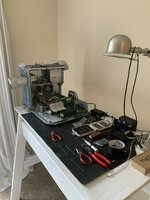 IMG_3447.jpeg