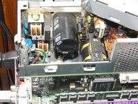 Phoenix-PSU-C-Gaping-Maw.JPG