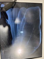 IMG_0962.jpeg