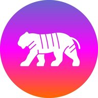 timtiger