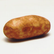 Golden Potato